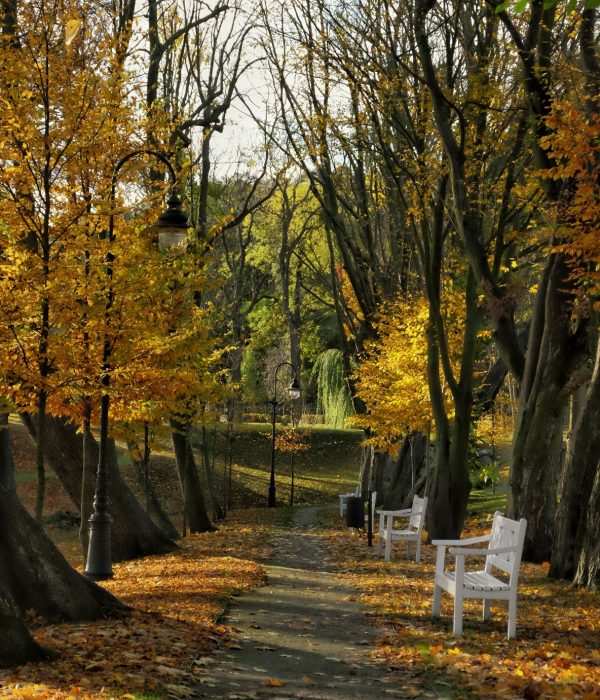 Herbst-Quadrille_fot. J. Krol (1)